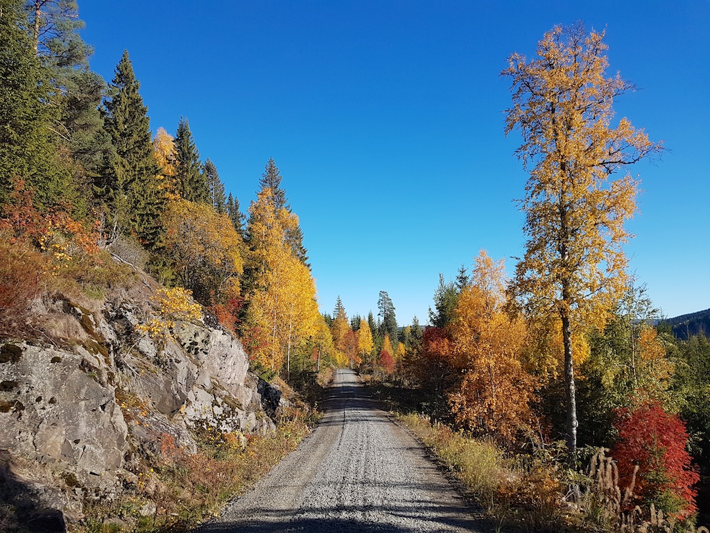 høst jogging aktivover50.no