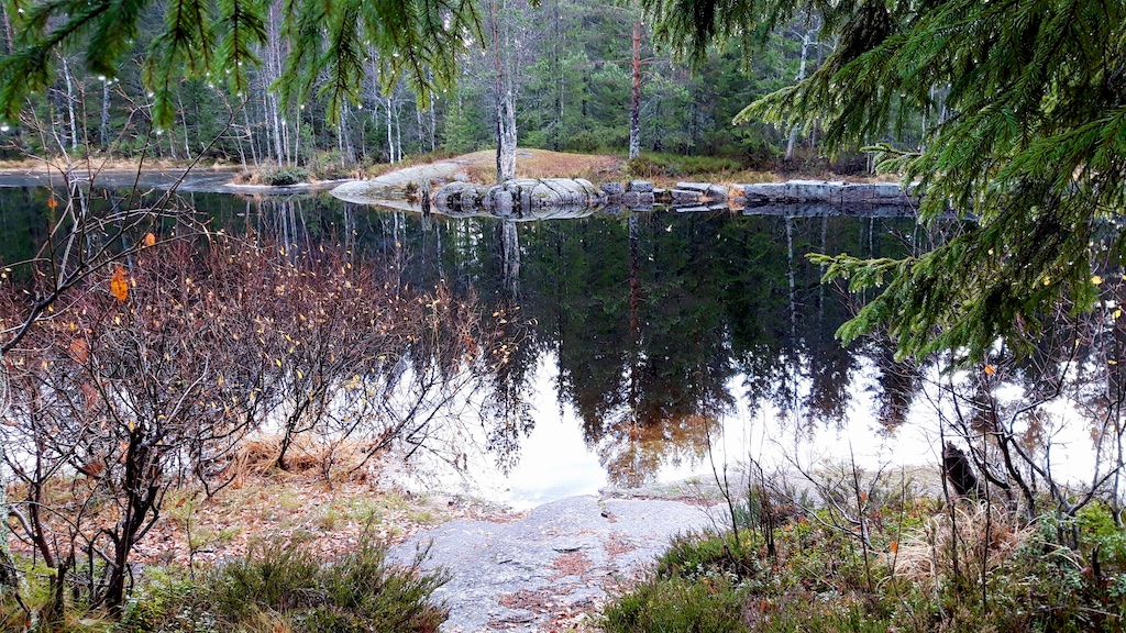 elizabeth lingjærde jogging