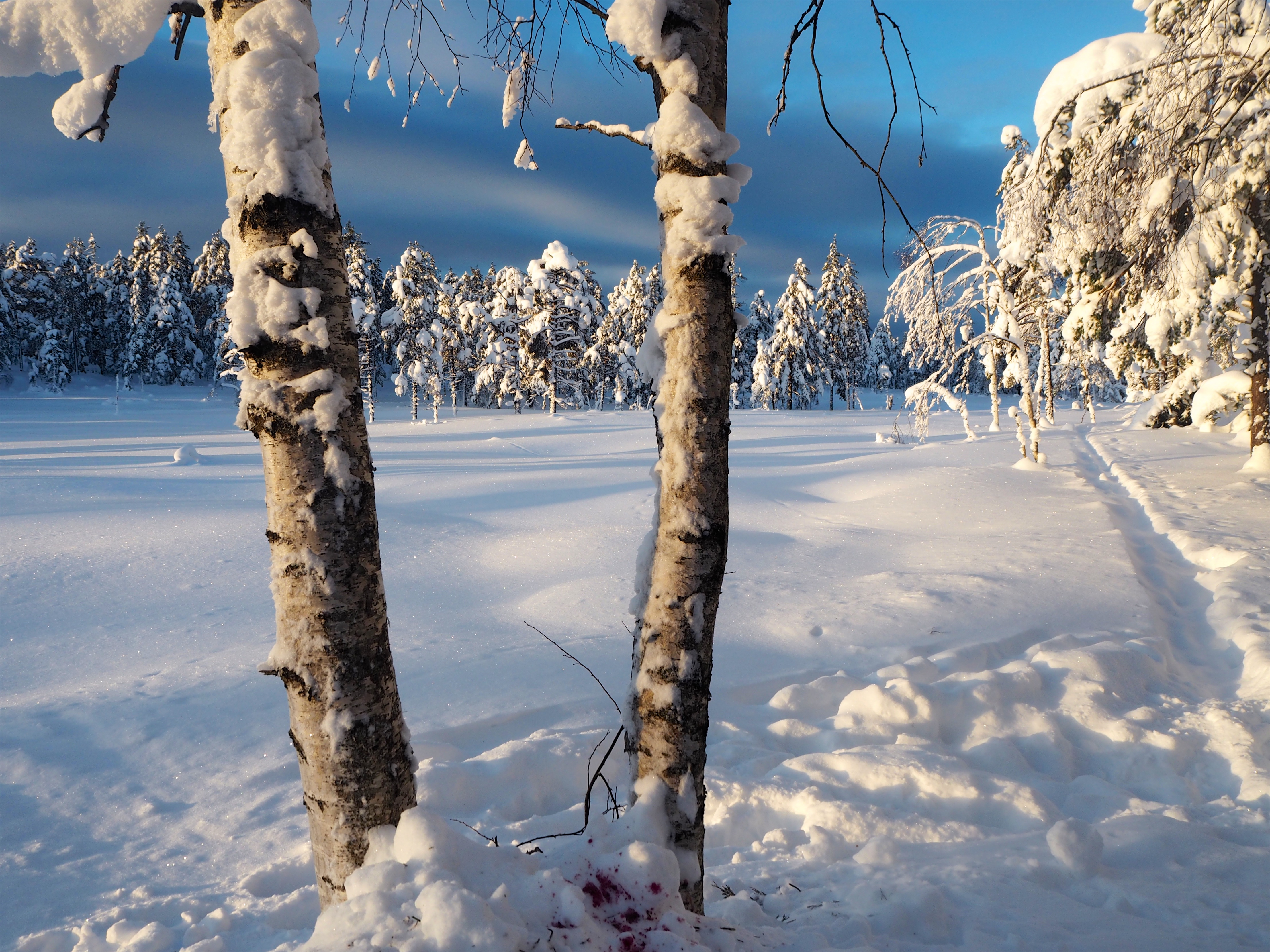 Telttur i januarkulde