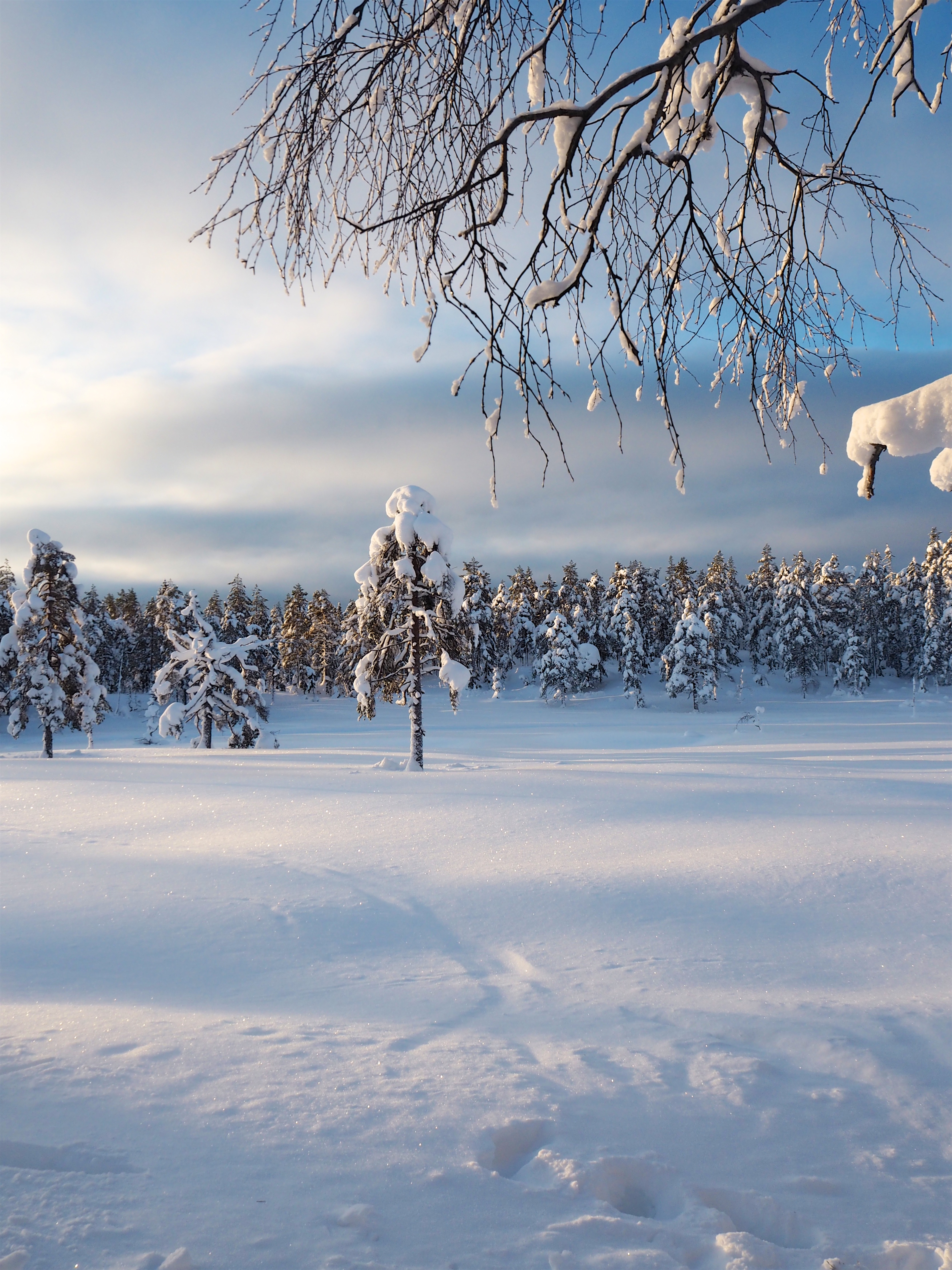 Telttur i januarkulde